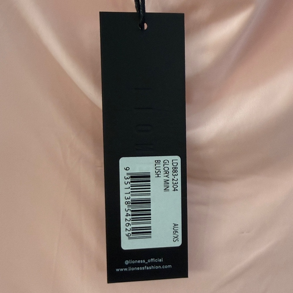 Glory Mini Dress in Blush
LIONESS - Picture 6 of 6
